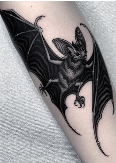 a black and white photo of a bat on the arm