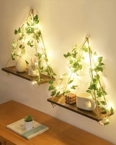 two wooden shelves with plants and lights on them