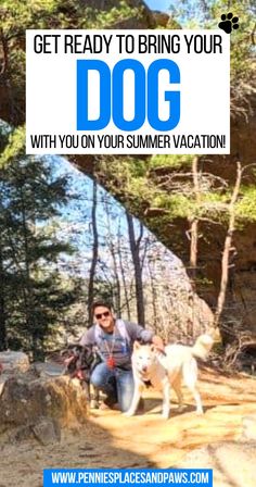 Get Ready to Bring Your Dog With You on Your Summer Vacation! Dog Friendly Vacation, Pack Your Bags, Canine Companions, Summer Heat, Summer Travel, Pet Owners