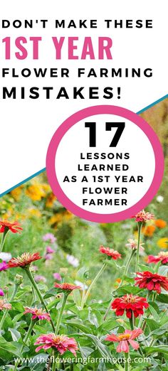 flowers with text that reads don't make these first year flower farming mistakes 17 lessons to