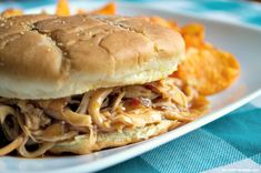 a pulled pork sandwich on a plate with french fries