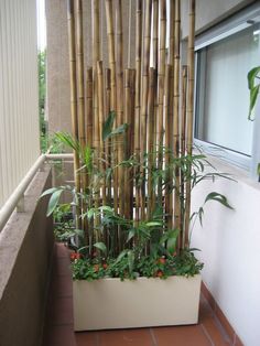 a planter filled with lots of green plants