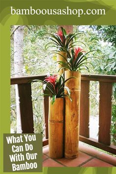 two tall bamboo vases with plants in them on a porch next to a tree