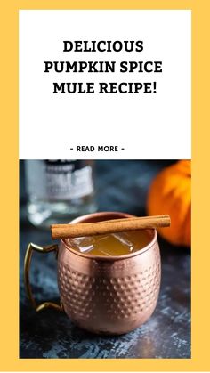 a copper mug with cinnamon sticks in it and the title delicious pumpkin spice mule recipe