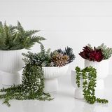 three white planters filled with plants on top of a white table next to each other