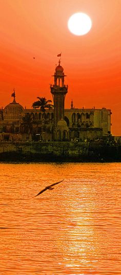 a bird flying over the water in front of a building with a clock tower on it