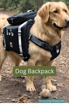 a brown dog wearing a black backpack with the words dog backpack on it's back