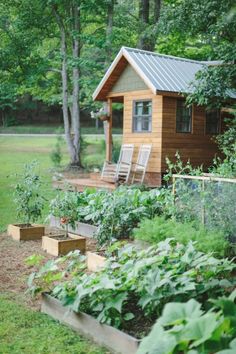 a small cabin in the woods with lots of plants