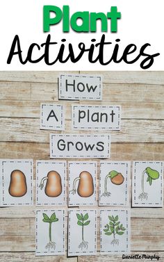 plant activities for kids to learn how to grow