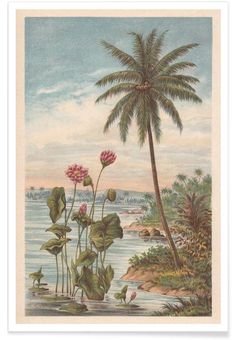 an illustration of flowers and plants in the water with palm trees around them on a beach