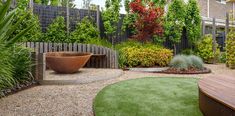 an outdoor garden with grass and plants