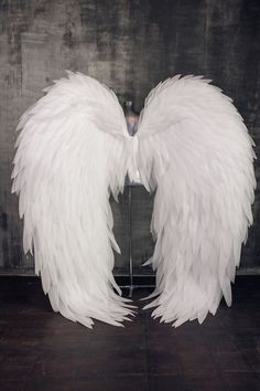 two white wings on a stand in front of a wall