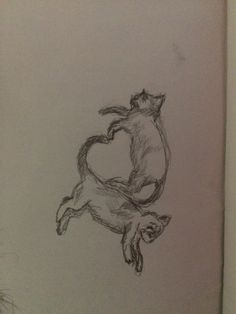 a drawing of a cat and dog in the shape of a heart