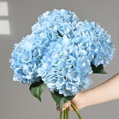 a person holding a bouquet of blue flowers