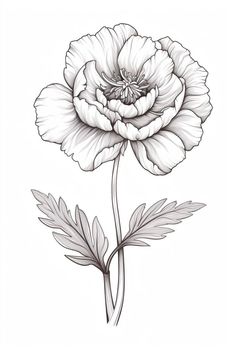 Peonies Illustration, Poppy Flower Drawing, Peony Drawing, Peony Illustration, Printable Flower Coloring Pages, Poppies Tattoo, Peony Art, Flowers Coloring