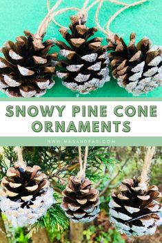 three pine cones hanging from a tree with the words snowy pine cone ornaments