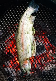 a fish is cooking on an open grill