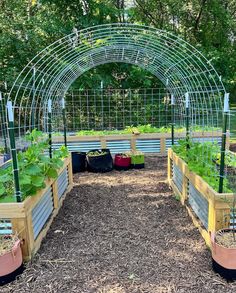 an outdoor garden area with various plants in the center and several raised beds on each side