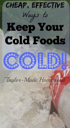 an ice bucket with the words, cheap, effective ways to keep your cold foods cold