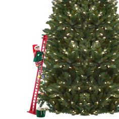 a christmas tree with lights and ladders next to it, on a white background