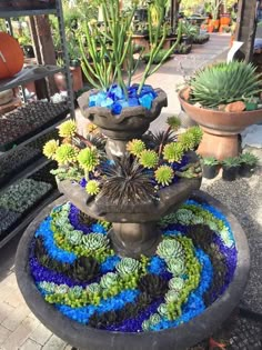 there are many succulents and plants in this fountain