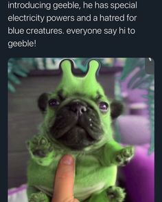 a person holding a small green dog in their hand with the caption that reads, when