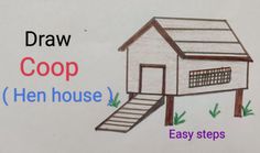 a drawing of a house with steps to the roof and ladder leading up to it