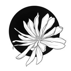 a black and white drawing of a flower