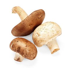 three mushrooms on a white background, one is brown and the other is white with black spots