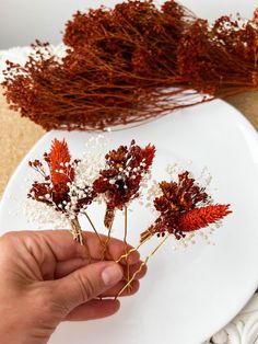 Dried flower hair pin for Rustic Terracotta Wedding ceremony. Made with real dried flowers. Price is for 1 hair pin! Size approx. - 5 x 11 cm. PROCESSING TIME : 1-3 business days Estimated delivery times: All parcels to United States will be delivered via USPS - 8-12 business days, parcels within EUROPEAN UNION (incl. UK, Switzerland, Norway) will be delivered via UPS standard service - 5-10 business days (+ phone number is required for the courier), Parcels to Canada, Australia and other countr Autumn Wedding Hair, Boho Bridal Hair, Fall Wedding Hairstyles, Dried Flowers Wedding, Terracotta Wedding, Flower Hair Pins, Floral Hair Pins, Bridal Hair Piece, Wedding Hair Pins