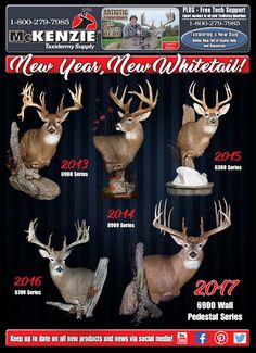 an advertisement for the new year's deer hunt whitetails, with pictures of their heads and antlers