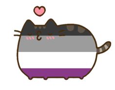 a cat with the flag of south korea on it's back