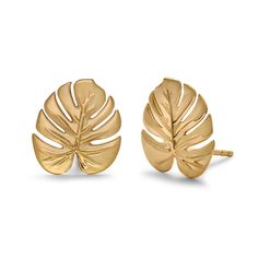 Minimalist bar earrings made with solid 14K gold throughout, perfect for wearing every day. Looking for some sparkle? Check out our pavé version. Monstera Leaf Earrings, Latina Jewelry, Queens Jewels, Minimalist Bar, Detailed Jewelry, Botanical Beauty, Soft Toothbrush, Jewel Box, Monstera Leaf