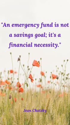 an emergency fund is not a savings goal it's a financial necessity