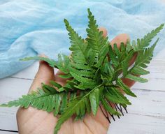 Woodland Wedding Hair, Formal Updos, Wedding Hair Comb, Foam Flowers, Hair Comb Wedding, Woodland Wedding, Oct 1, Greenery Wedding, Hair Pin