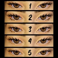 the steps in how to do an eyeliner for brown eyes with long, thick lashes