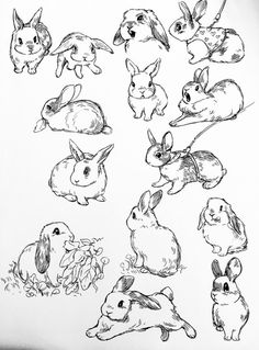 some rabbits are sitting and standing in the grass