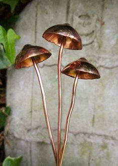 three bronze colored mushrooms on top of a plant in front of a stone wall with ivy growing around it