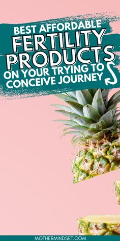 a pineapple with the words best affordable fertiility products on your trying to conceive journey