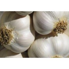 Garlic Foods High In Zinc, Liver Cleansing Foods, Garlic Health Benefits, Garlic Benefits, Healthy Holistic Living, Garlic Uses, Ginger Benefits, Ab Challenge, Modern Magic