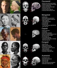 the different types of skulls are shown in this chart, with each individual's head and