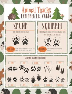 an animal track card with different animals and their tracks in the woods, including trees