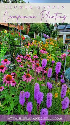 a garden filled with lots of colorful flowers