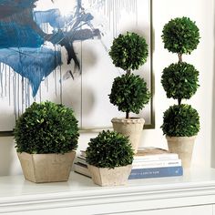 three potted plants sitting on top of a white dresser next to a book shelf