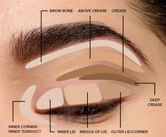 Basic Eye Makeup, Carnaval Make-up, Beginner Eyeshadow, Boho Makeup, Eyeshadow Tips, Parts Of The Eye, Makeup Tip, Smokey Eye Tutorial, Blending Eyeshadow