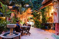 a man sitting at a table in front of a fountain surrounded by greenery and potted plants