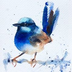 a watercolor painting of a blue bird sitting on a branch