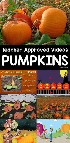 an image of pumpkins with the title teacher approved videos for pumpkins on it