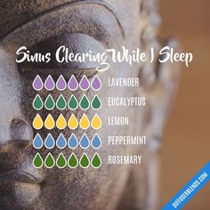 Doterra Diffuser Blends For Sinus Congestion, Essential Oil Diffuser Sinus Congestion, Diffuser Blends For Colds At Night, Congested Diffuser Blend, Doterra Sinus Diffuser, Sinus Sleep Diffuser Blend, Essential Oil Diffuser Blends For Congestion, Diffuser Blend For Sinus Congestion, Diffuser Congestion Blend