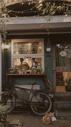 a bicycle is parked in front of a store with lights strung from the windows and potted plants